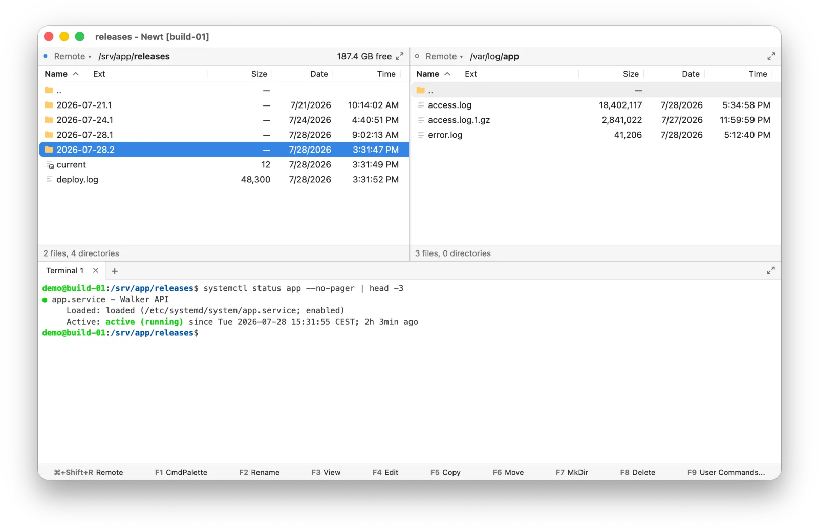 A Newt window titled Newt [build-01], with both panes and the terminal on the remote Linux host
